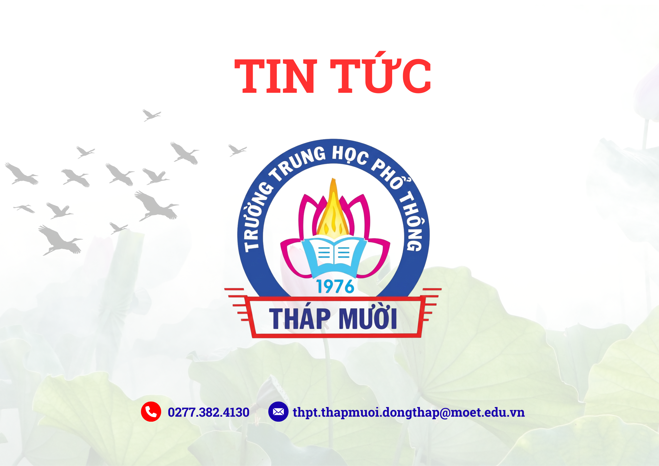 Tin tức số 3