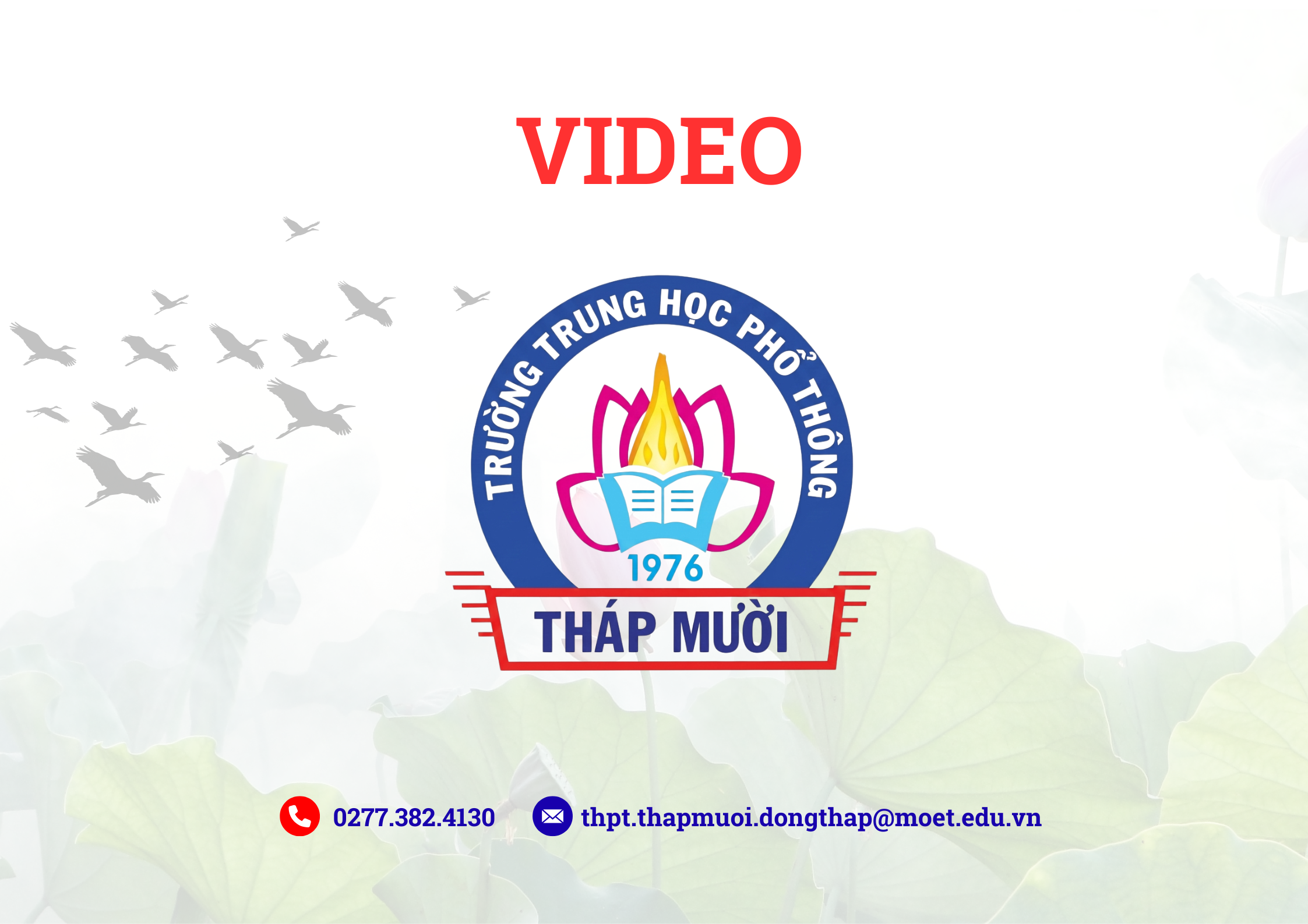 Phóng sự kỷ niệm 40 năm thành lập trường THPT Tháp Mười